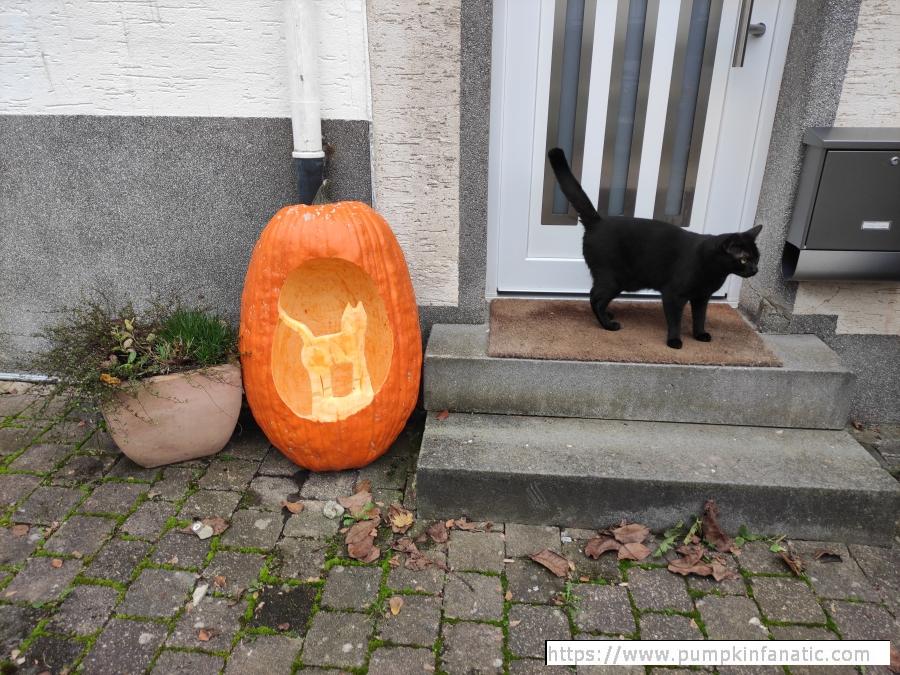 fruitImages/102.5 Moeller 2024B.jpg